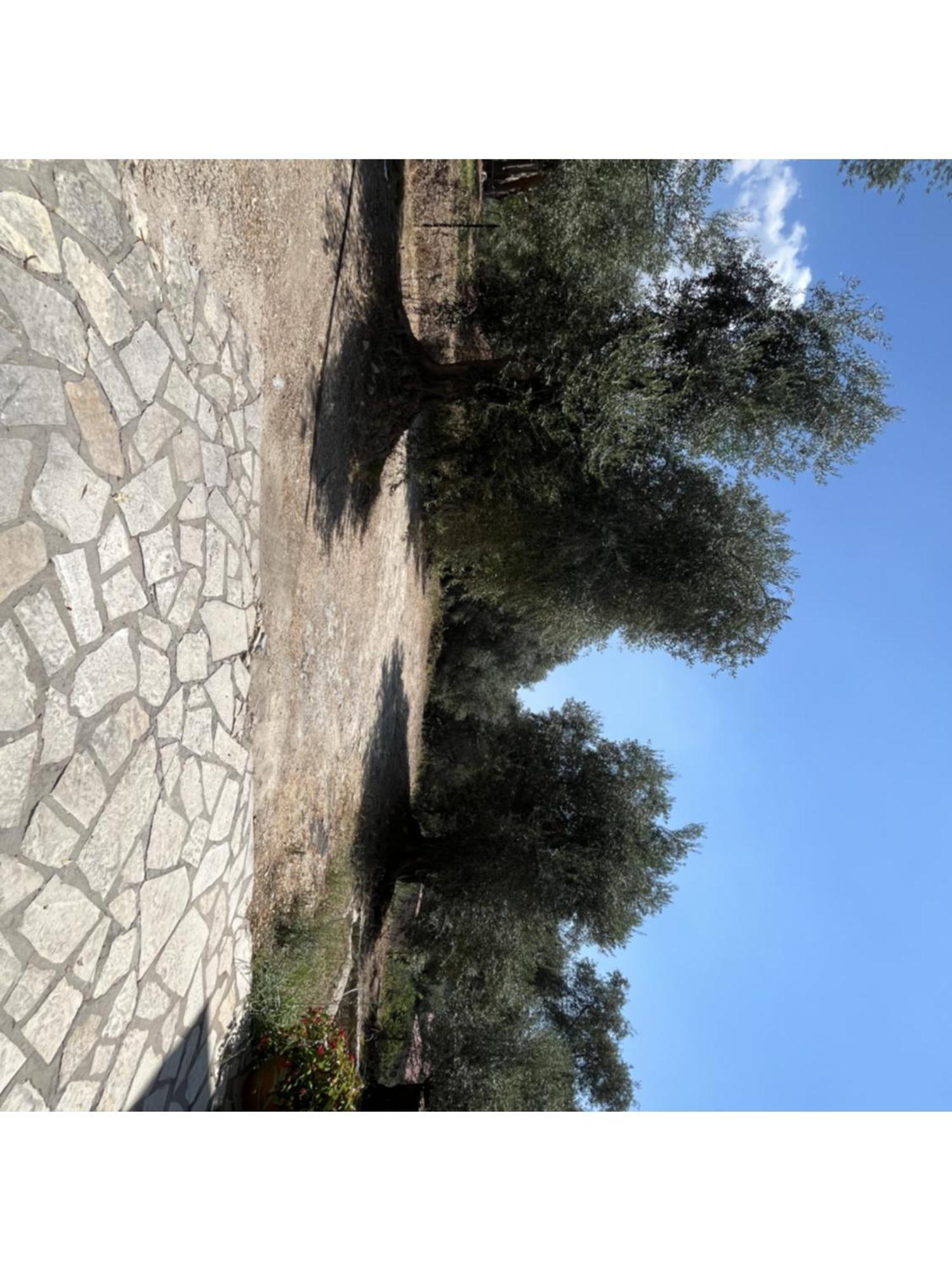 Apartamento Meltemi Parga Exterior foto